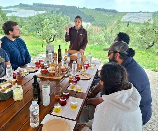 Ancient Corinth Guided Tour & Olive Oil Tasting in a Grove