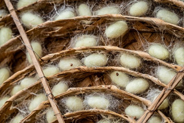 Natural Dye Silk Scarf Workshop